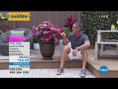 HSN | Guy's in the Garden 04.16.2021 - 11 AM