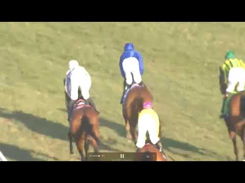 2021 11:6  R 11  W  Buick    Yibir T C  Appleby @ Del mar  Grade 1