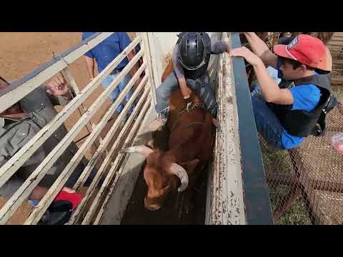 Cody Custer school ride #7