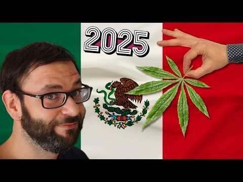 Cannabis is 100% Legal in Mexico 🇲🇽 What You Need to Know About Marijuana in Mexico | Weed in Mexico