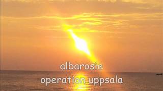 albarosie operation uppsala