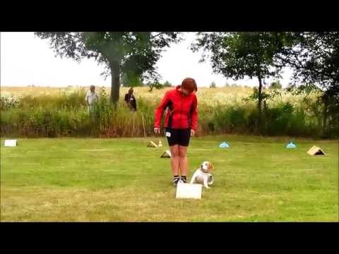 Rally Obi Turnier Bad Münder