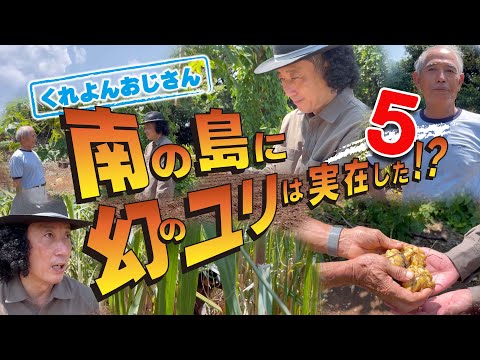 園芸 堂々とした雄大なシルエットの杉