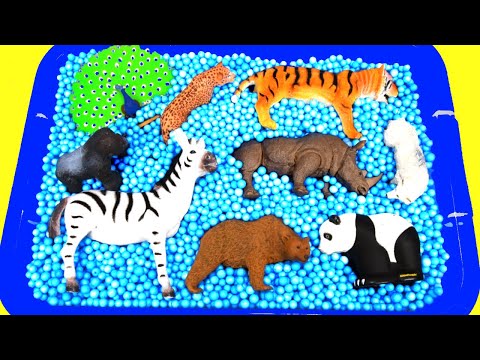 Wild Zoo Animals Toys for Kids! Learn Where Animals Live - Giraffe Rhino Gorilla Tiger