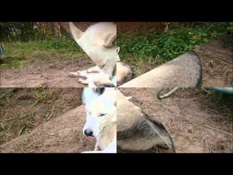 rothenschirmbach okt 2015