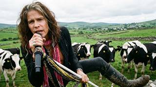 Download lagu What if 'Dream On' Was an Irish Folk Song? mp3