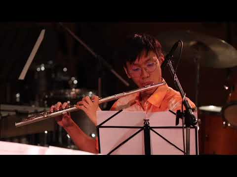 Hayden Mesnick - Three Studies for a Self Portrait (2024) for flute, electric guitar,  and keyboard