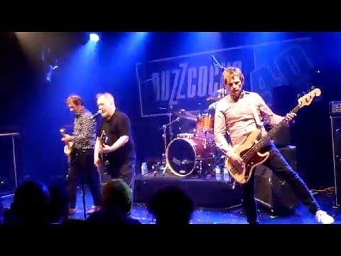 Buzzcocks - Live Forum Vauréal 2016