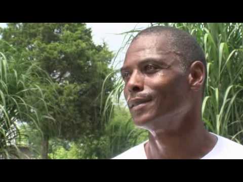 74-Year-Old Drug Dealer Arrested