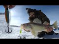 Video Thumbnail for Hungry Spring Saugers! New Vibrating Jigging Try This Rattle Spoon!