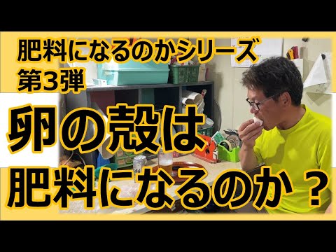 なぜ植物の周りに卵の殻を置くのでしょうか？明らかな5つの理由！  庭園