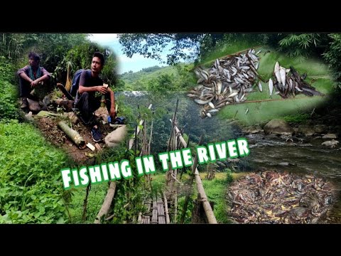 Fishing in the  river using || traditional water diversion method.