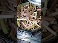 দারুণ মজার শাপলা ভাজি Food Short Shapla Vaji