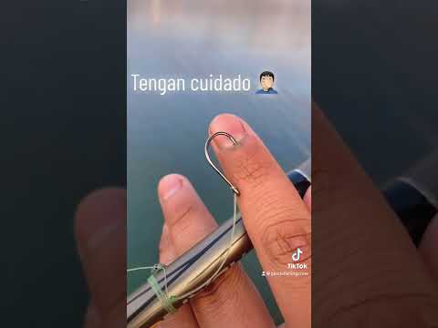Aguas raza cuando vallas a pescar 🎣 #fishing #pesca #fish #fyp