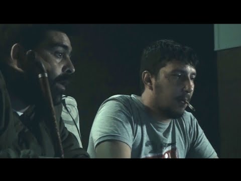 OGCALE - HUMO (HONESOHT)