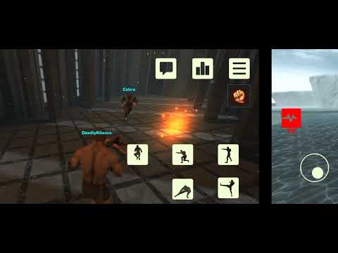 Fight Arena Online