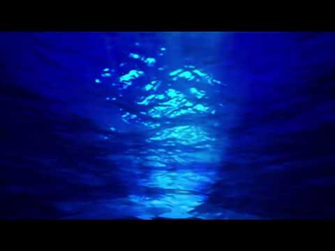 Thor Rixon - the drain (ft. Hlasko)