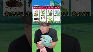 動物がモチーフのポケモン答えろ