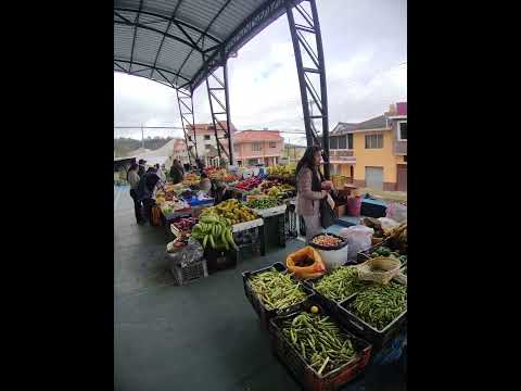 MERCADO DEL CANTÓN DELEG PROVINCIA DEL CAÑAR ECUADOR 🏞️