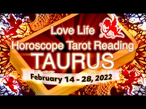 TAURUS ~ SOMEONE'S ABOUT TO ASK YOU OUT! MAKE SURE YOU GO!!! February 14 - 28, 2022 Tarot Reading