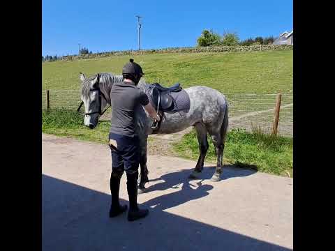 Lot 430 Saturday 17th May Clifden, Connemara - Image 2