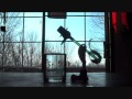 The Surfin Bird Wmv