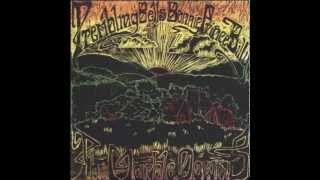 The Trembling Bells and Bonnie Prince Billy - 'Riding'