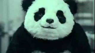Never Say No To Panda " Panda Cheese Commercial " - دعاية جبنة باندا