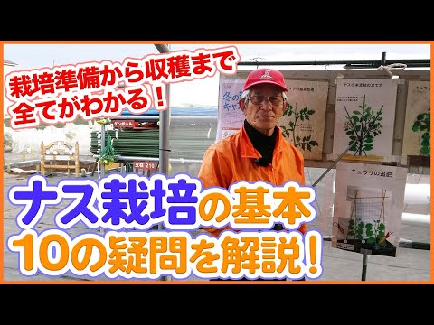 ナスについて詳しく解説