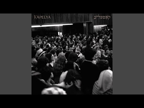 Nigun Poltava - Instrumental (feat. Joey Weisenberg)