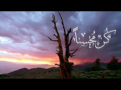 Humood - Heya Janna | حمود الخضر - هي جنة