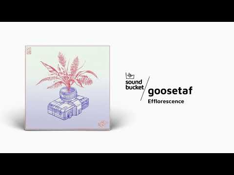goosetaf - Efflorescence ☕