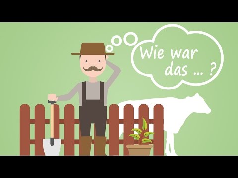 Stappenbach Tipps / Kühe