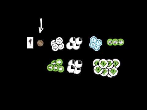 Instructional video 30 Seconds to live: 2 player setup