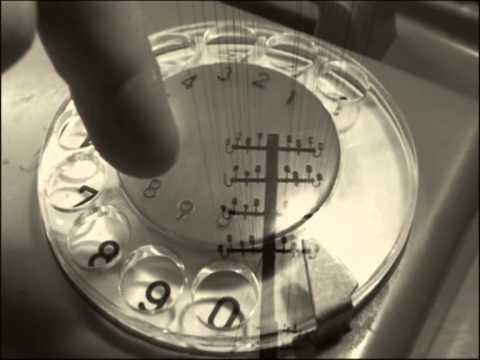 edukacyjno-artystyczna Kronika Filmowa 2/2013