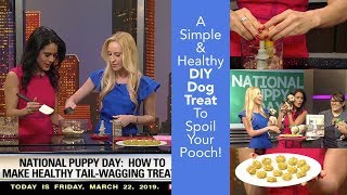 A Simple & Healthy DIY Dog Treat For National Puppy Day | Proud Dog Mom