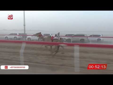 ش 3 ( دخول جماعي) 2:06  , شارة الصندوق 2026/06/20 فطامين الروضة 