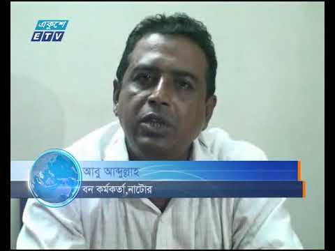 নাটোরের উত্তরা গণভবনে শতবর্ষী বেশ কিছু গাছ কেটে ফেলা হয়েছে