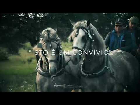 Romaria a Cavalo Moita - Viana do Alentejo