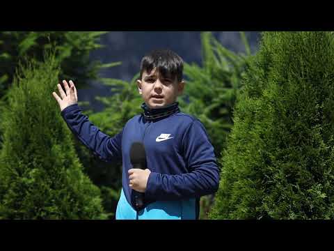 Luca ne prezintă vremea din Tabăra TV Dictie.ro