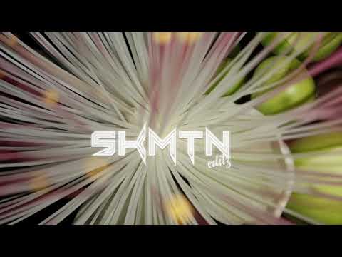 DJ SKOFF X PERDONAME (mix 2019)