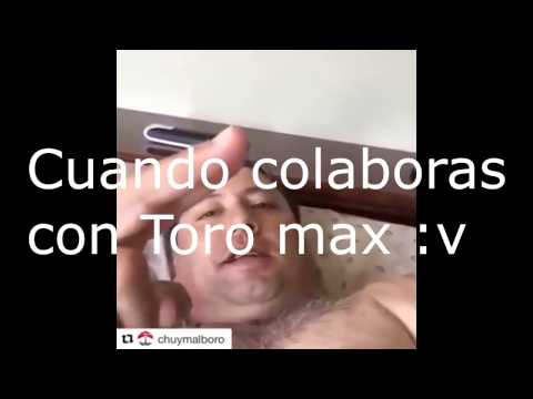 Toro Max Remix