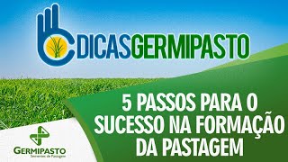 Formação de pastagem
