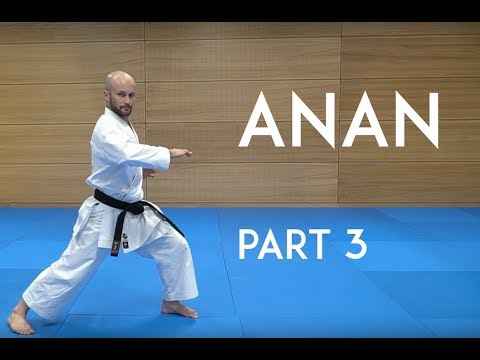 ANAN pt. 3 - ryuei ryu kata explanation - TEAM KI