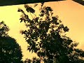Mandaram Kattine Status Malayalam