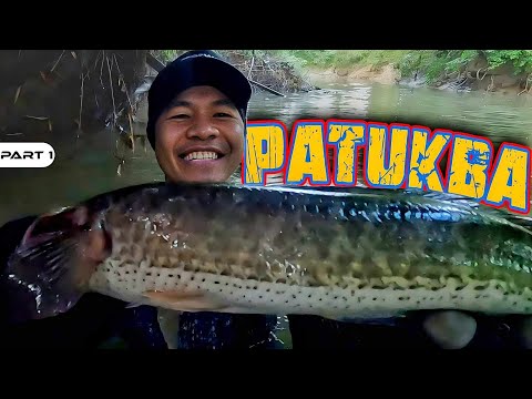 P1-TIBA SA PATUKBA - EP1146