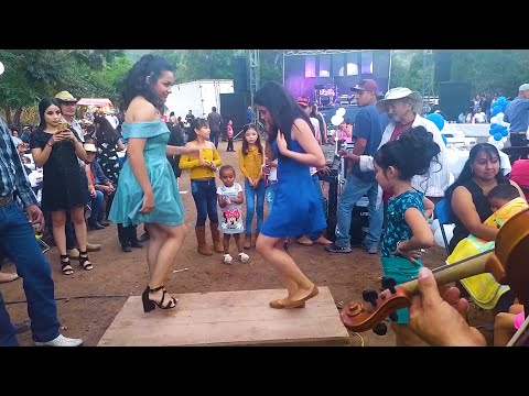 Dancing huapangos on the tabla (compilation) 🔥🔥🔥🔥