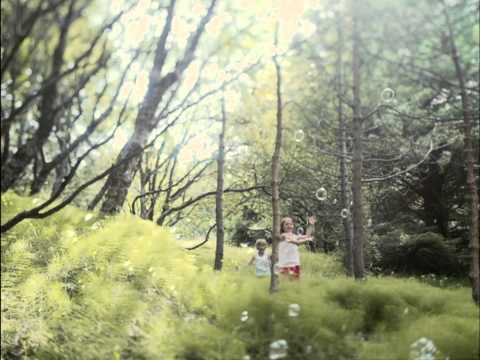 Safe Formula - Natural Shampoos and Conditioners