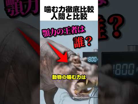 噛む力の王者とは…