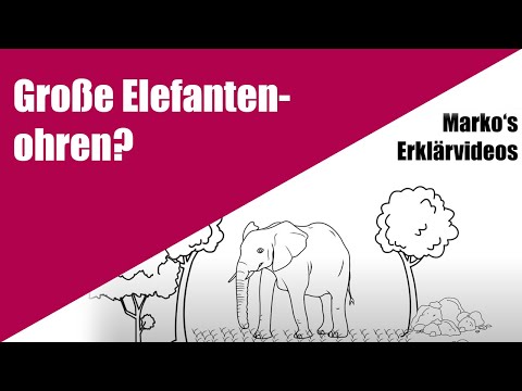 Warum haben Elefanten so große Ohren? - Lern- und Erklärvideo für Grundschul-Kinder.